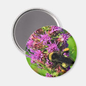 Bestuiver op Blazing Star - Bumble Bee Magneet (Voorkant / Achterkant)