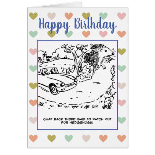 Bestuurder verkocht om uit te kijken voor egel-Jok