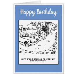 Bestuurder verkocht om uit te kijken voor egel-Jok