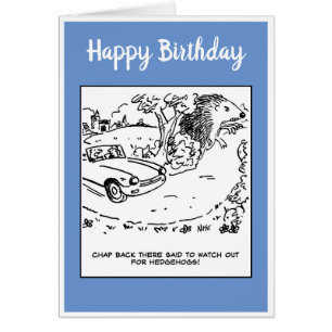 Bestuurder verkocht om uit te kijken voor egel-Jok