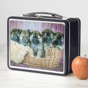 Bestvriend Cute German shepherd Puppies