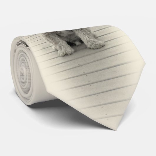 Bet Friend man Stropdas (Opgerold)