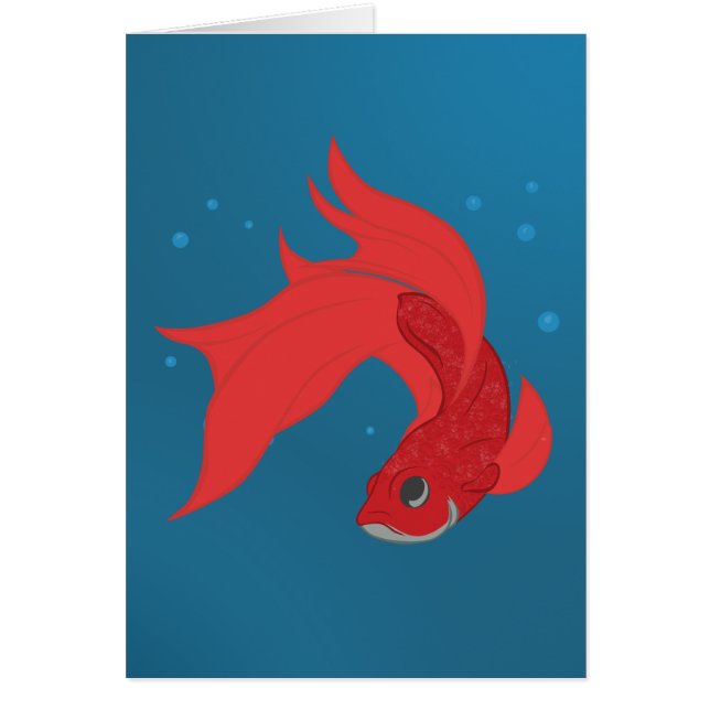 Beta Fish (Voorkant)