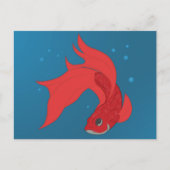 Beta Fish Briefkaart (Voorkant)