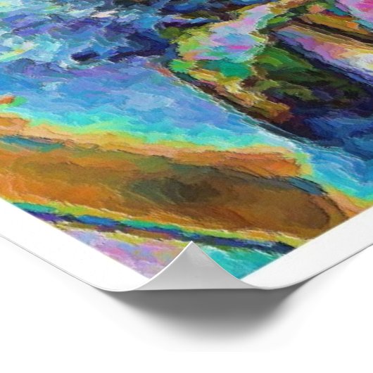 Beta vis 1 poster (Hoek)