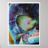 Beta vis 1 poster (Voorkant)