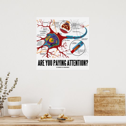 Betaal je aandacht? (Neuron/synapse) Poster (Keuken)