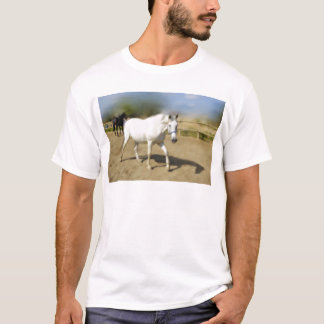BETAALD WITTE HORSE T-SHIRT