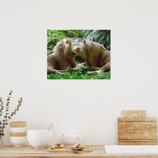 Betaalde leeuwen poster (Keuken)