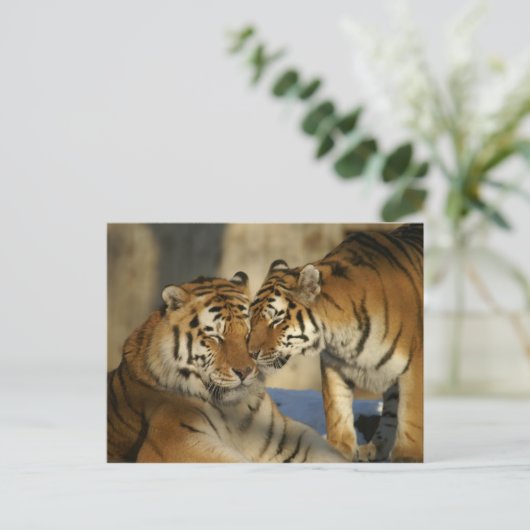 Betaalde trekkers briefkaart (Staand voorkant)