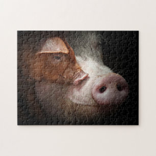 Betaalde varkens Fotografie Legpuzzel