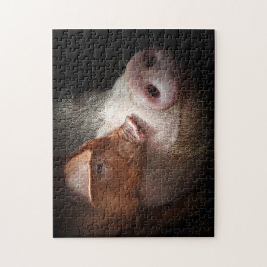 Betaalde varkens Fotografie Legpuzzel (Verticaal)
