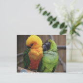Betaalde vogels briefkaart (Staand voorkant)