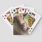 Betaalkaarten "Gehakt", naar verluidt Pokerkaarten (Achterkant)