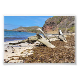 betaling foto afdruk