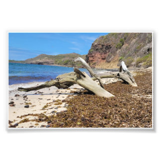 betaling foto afdruk