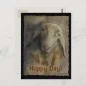 Betalingsgegevens - Postard-Sjabloon Briefkaart (Voorkant / Achterkant)