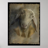 Betalingsgegevens - Poster (Voorkant)