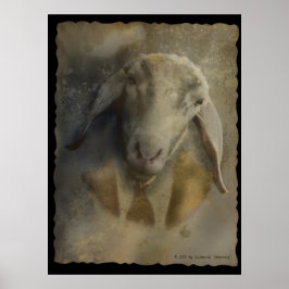 Betalingsgegevens - Poster