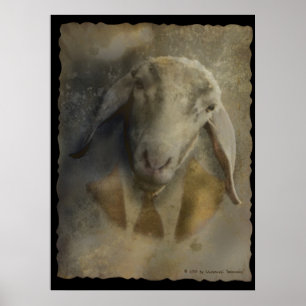 Betalingsgegevens - Poster