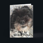 BETCHA, IK WENS JE EEN GELUKKIGE VERJAARDAG KAART<br><div class="desc">ALS JE DIE *** ZEER SPECIALE VRIEND *** HEBT EN HIJ OF ZIJ HEEFT EEN ** VERJAARDAG *** IK HOOP ZEKER DAT JE VAN DEZE KAART HOUDT GENOEG OM HEM OF HAAR TE STUREN:) BEDANKT VOOR HET STOPPEN BIJ EEN VAN MIJN NEGEN WINKELS HIER IN ZAZZLE.</div>