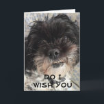 BETCHA, IK WENS JE EEN GELUKKIGE VERJAARDAG KAART<br><div class="desc">ALS JE DIE *** ZEER SPECIALE VRIEND *** HEBT EN HIJ OF ZIJ HEEFT EEN ** VERJAARDAG *** IK HOOP ZEKER DAT JE VAN DEZE KAART HOUDT GENOEG OM HEM OF HAAR TE STUREN:) BEDANKT VOOR HET STOPPEN BIJ EEN VAN MIJN NEGEN WINKELS HIER IN ZAZZLE.</div>