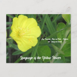 Betekenis van het gele Briefkaart