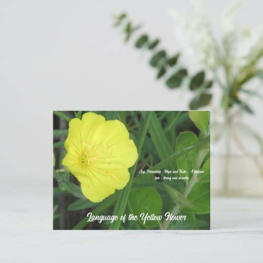 Betekenis van het gele Briefkaart (Staand voorkant)