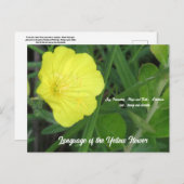 Betekenis van het gele Briefkaart (Voorkant / Achterkant)