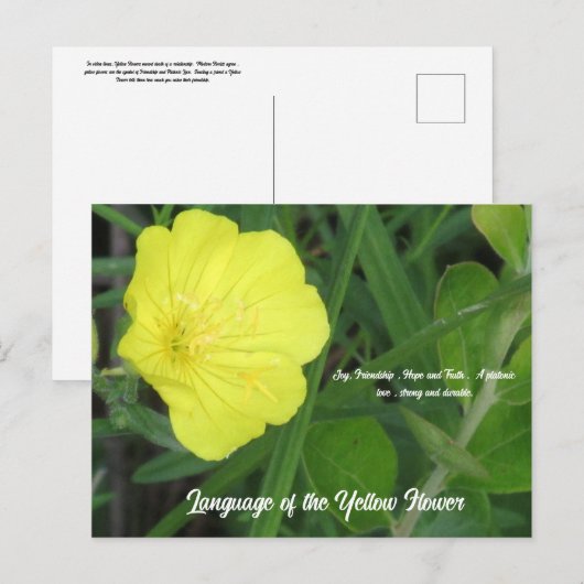 Betekenis van het gele Briefkaart (Voorkant / Achterkant)