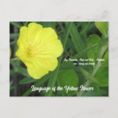 Betekenis van het gele Briefkaart (Voorkant)