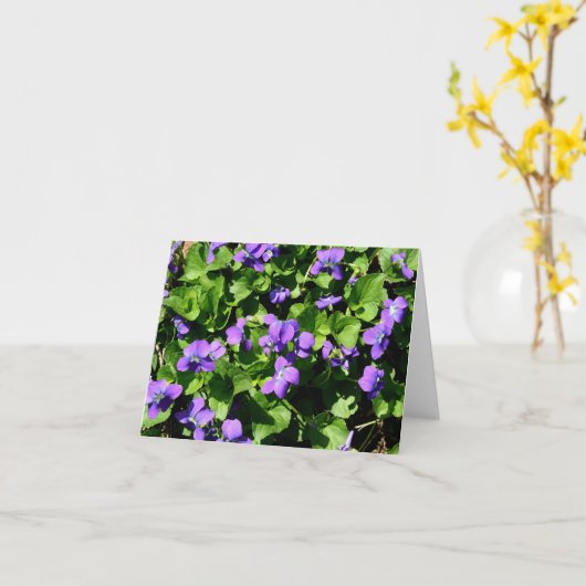 Betekenis van Violets notitiekaarten (Gele Bloem)