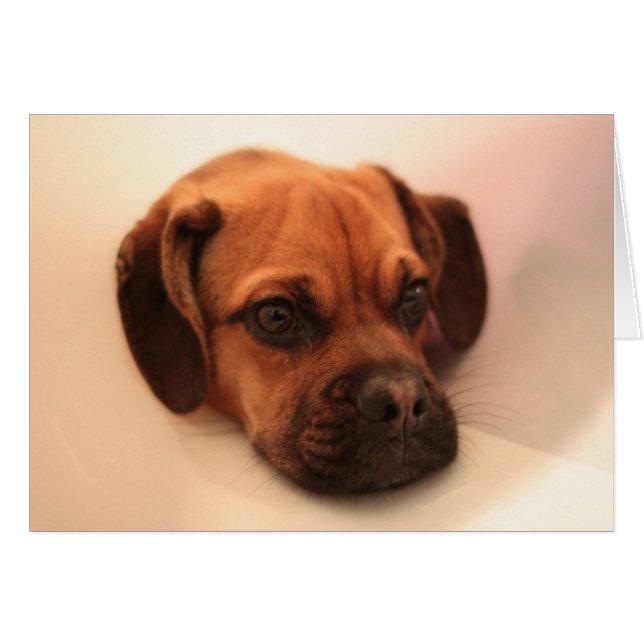 beter (Voorkant Horizontaal)