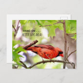 Beter Dagen Komen Ansichtkaart Briefkaart (Voorkant / Achterkant)