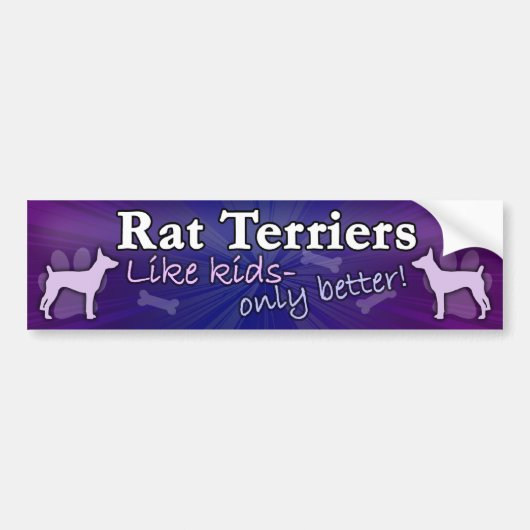 Beter dan Kinder Rat Terrier Bumpersticker (Voorkant)