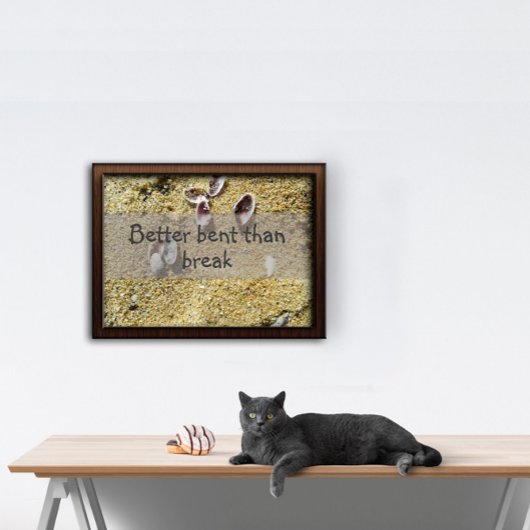 Beter gebogen dan het poster van het gezegde doorb