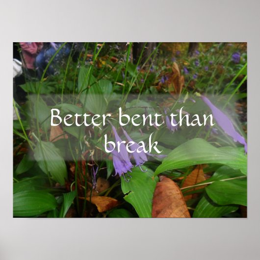 Beter gebogen dan het poster van het gezegde doorb (Voorkant)