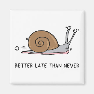 Beter laat dan nooit magneet