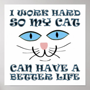 Beter Leven Voor Mijn Kat Grappige Poster Bord