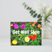 Beter Worden Diverse Dahlias #1 Ansichtkaart Briefkaart (Staand voorkant)