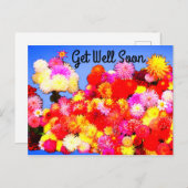 Beter Worden Diverse Dahlias #2-2 Ansichtkaart Briefkaart (Voorkant / Achterkant)