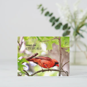 Betere dagen komen Briefkaart tegemoet