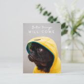 Betere dingen zullen er komen | Pug Dog Cute Rainc Briefkaart (Staand voorkant)