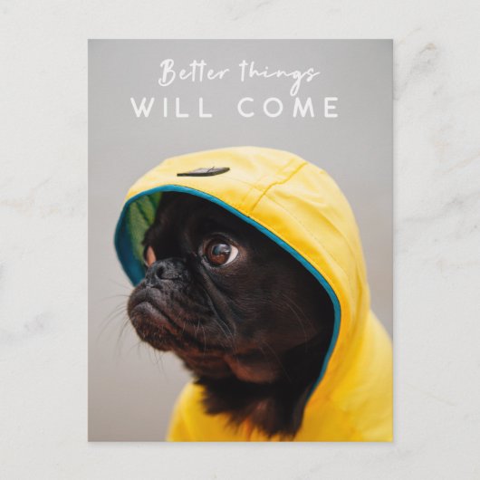 Betere dingen zullen er komen | Pug Dog Cute Rainc Briefkaart (Voorkant)