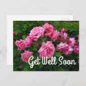 Beterschap Alsnog Gene Boerner Roos #2 Briefkaart (Voorkant / Achterkant)