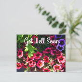 Beterschap Alsnog Rode Petunia #1 Ansichtkaart Briefkaart (Staand voorkant)