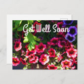 Beterschap Alstublieft Rode Petunia #1 Ansichtkaar Briefkaart (Voorkant / Achterkant)