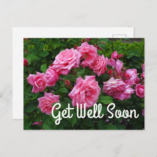 Beterschap Alvast Gene Boerner Roos #2 Briefkaart (Voorkant / Achterkant)