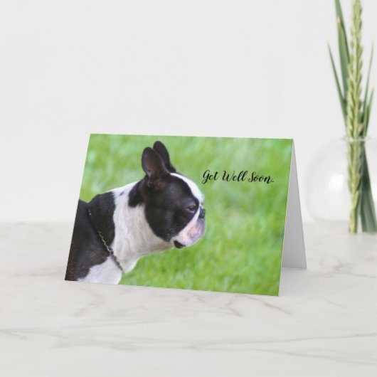 Beterschap Boston Terrier wenskaart Kaart (Voorkant)