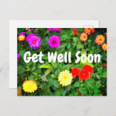 Beterschap Diverse Dahlias #1 Ansichtkaart Briefkaart (Voorkant / Achterkant)